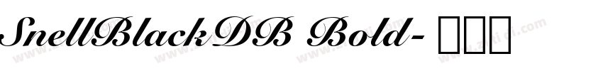 SnellBlackDB Bold字体转换